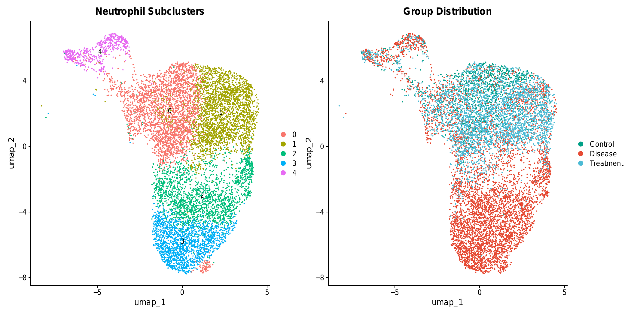 中性粒细胞 4 亚群 UMAP(按 cluster / group 着色)