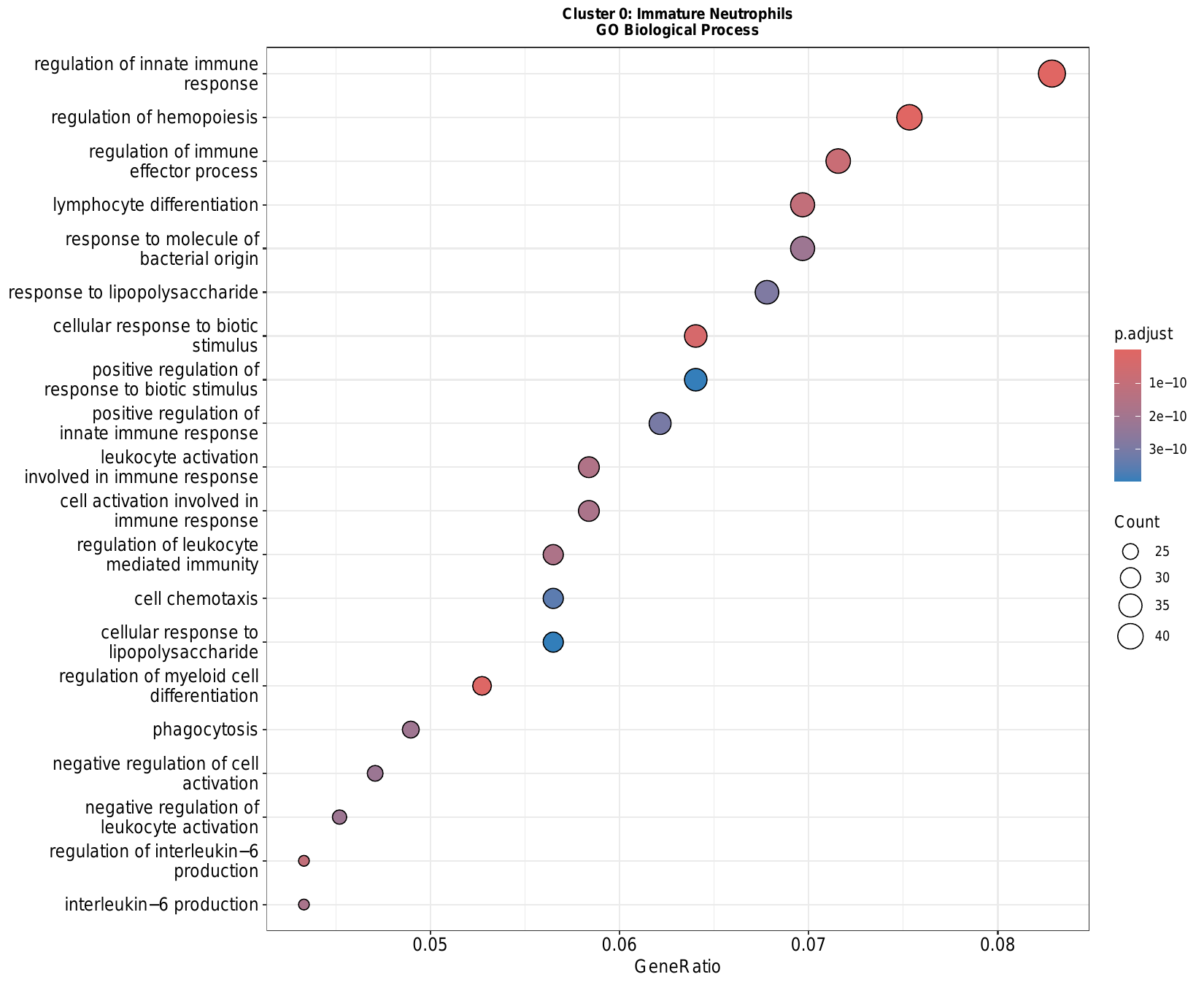 各亚群 GO/KEGG 富集 DotPlot