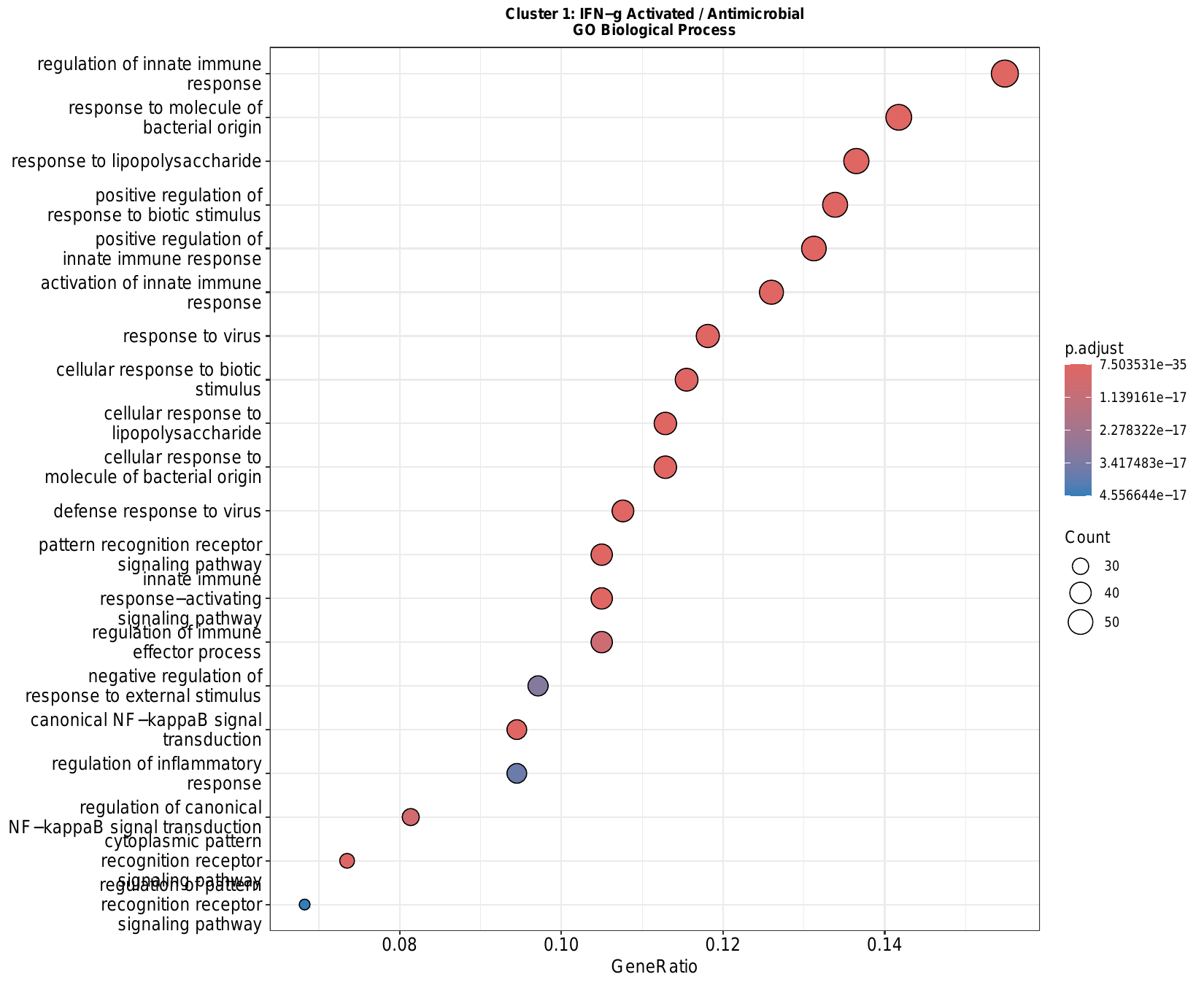 各亚群 GO/KEGG 富集 DotPlot